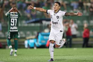 Matheus Martins celebra gol na vitória do Botafogo contra a Chapecoense 