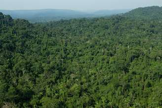 Vista aérea da floresta amazônica no município de Parauapebas, no Estado do Pará