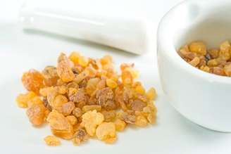 Boswellia serrata.