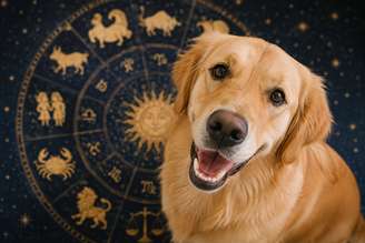 cachorro de cada signo