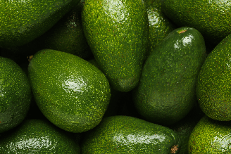 O abacate verde precisa permanecer em condições que permitam a continuidade do seu amadurecimento