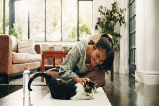 Embora os gatos sejam animais independentes, eles também apreciam momentos de carinho e atenção