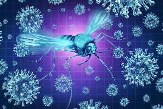A Febre do Nilo Ocidental é causada por um vírus transmitido pela picada de mosquitos infectados