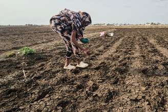 Plantação em Gedaref, no Sudão: El Niño deve provocar estiagens em várias partes do mundo