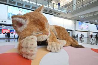 Hong Kong tem algo que muitos aeroportos invejariam; não é um novo terminal: é um gato gigante e interativo
