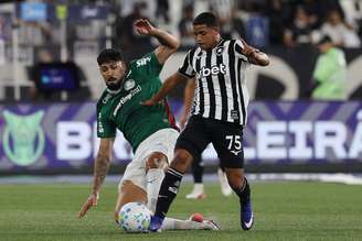Huguinho, do Botafogo, e Alexander Barboza, do Palmeiras, em disputa de bola no Engenhão 