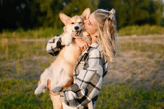 Os cachorros utilizam principalmente a linguagem corporal para se comunicar