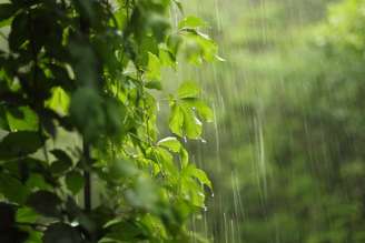 Confira os significados de sonhar com chuva