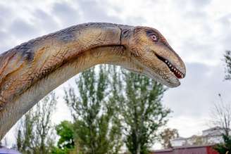 Diplodocus
