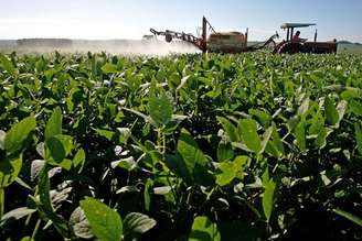 Insumos agrícolas: recuperação mais lenta