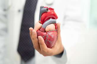 Gordura ao redor do coração pode indicar maior risco de doenças cardiovasculares