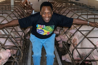 Pelé já chegou a criar animais em sua propriedade enorme. (Imagem: Divulgação / Redes Sociais)