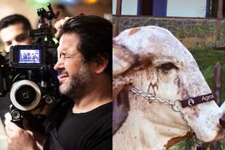 Murilo Benício investe em gado e fazenda. (Imagem: Reprodução - Redes Sociais / Montagem - RD1)