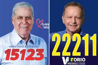 Puccinelli e Medioli foram eleitos por MS e MG