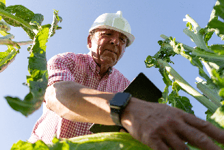 A formação do engenheiro agrônomo combina conhecimentos de ciências agrárias, gestão e inovação