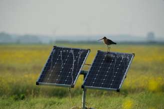 Painéis solares