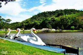 Em meio ao ritmo acelerado das cidades, muitos buscam refúgios tranquilos. Engenheiro Paulo de Frontin, no interior fluminense, oferece exatamente isso: contato com a natureza e um ambiente mais pacato desde a emancipação, em 1963.
