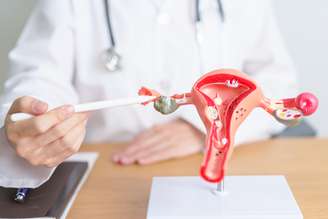 Estudo sugere que ovários continuam ativos após a menopausa