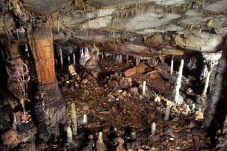 Caverna de La Garma
