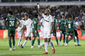 Santos e Palmeiras 