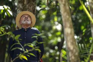 Lula observa plantação de açaí no Pará