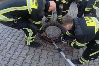 Bombeiros montaram uma operação razoavelmente grande para salvar o rato.