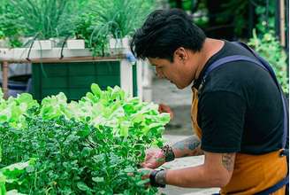 AMA.ZO cultiva alguns ingredientes utilizados na cozinha