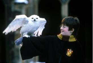 Daniel Radcliffe em cena de 'Harry Potter e a Pedra Filosofal'.