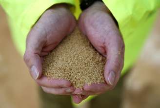 Trabalhador com açúcar bruto nas mãos
21/10/2016
REUTERS/Peter Nicholls 