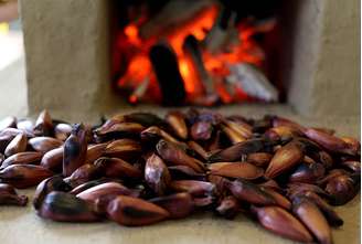 O pinhão possui ômega 6 e 9, que reduzem o colesterol "ruim" do organismo. Um fator considerado de risco para as doenças cardiovasculares.