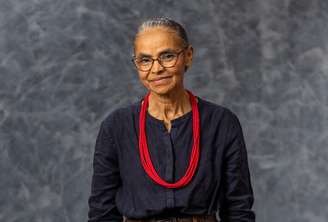 Marina Silva sofreu leve fratura em vértebra da região lombar; ela sentiu dor enquanto movia vasos de plantas em casa