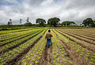 Primeira edição do Desenrola alcançou R$ 23 bilhões em renegociações de dívidas, atendendo a 507 mil agricultores