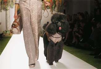A plateia se derreteu uando uma das modelos entrou na passarela com um poodle preto vestindo uma roupinha que combinava com a estampa do look