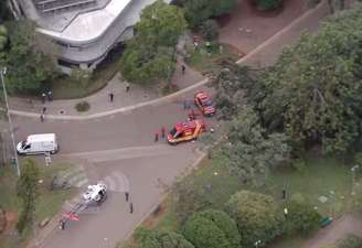 Árvore de grande porte cai e deixa duas pessoas feridas no Parque Ibirapuera, em SP 