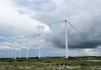 Turbinas eólicas fotografadas no Ceará, Brasil
24/04/2009
REUTERS/Stuart Grudgings 