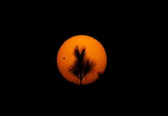 Vista do planeta Vênus gravitando em torno do Sol
REUTERS/Navesh Chitrakar