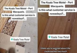 Mulher encontra 6 baratas em quarto de hotel e resposta do estabelecimento viraliza