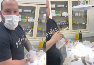Daniel Bittencourt foi preso quando realizava cirurgia em gato