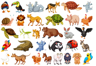 Você saberia dizer qual é o maior animal do planeta? O mais alto? O mais rápido? O mundo animal tem extremos que causam surpresa. Veja nessa galeria!