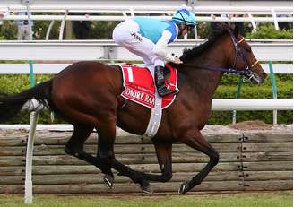 Favorito na Melbourne Cup, cavalo Admire Rakti desmaiou na reta final e morreu após a prova