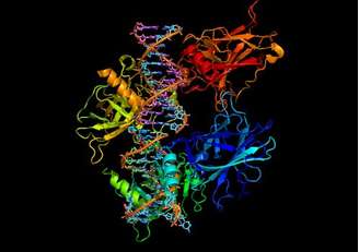 Representação da proteína p53 ao lado de uma fita de DNA. O estresse crônico pode afetar essa proteína, cuja inatividade está ligada a muitos tipos de câncer. ibreakstock/Shutterstock