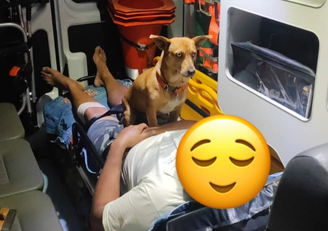 Cachorro 'caramelo' emociona socorristas ao acompanhar tutor em atendimento do Samu em SC