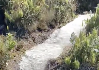 Frio faz água de nascente congelar no Parque Nacional do Caparaó.