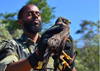 Guarda Ambiental resgata animais e depois os devolve ao habitat natural