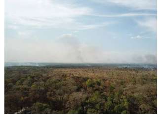 Agentes do Ibama e da PF fazem operação contra desmatamento e queimadas em Mato Grosso; área indígnea no município de Nova Nazaré tem focos de queimada