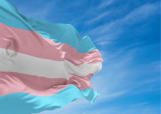 Bandeira trans