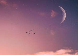 primeira Lua Nova de 2024