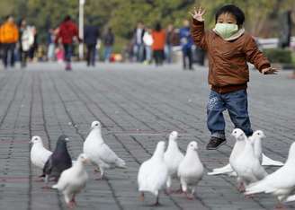 Menino observa pombos no Parque do Povo, centro de Xangai, China. Autoridades sanitárias da China encontraram traços de um novo vírus da gripe aviária em mais áreas de Xangai e da vizinha cidade de Hangzhou, segundo relatos da mídia local neste sábado, enquanto funcionários prosseguiam com o abate de aves para evitar a disseminação do vírus, o qual já matou seis pessoas. 06/04/2013