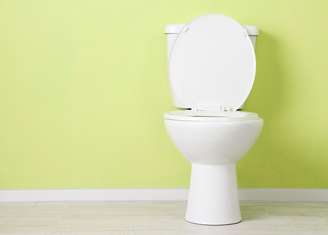 Ter vaso sanitário em casa é exigência para que qualquer um possa ser candidato em alguma eleição na Índia