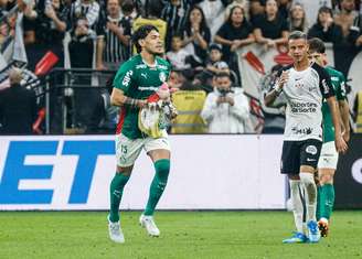 Gustavo Gómez 'capturou' pelúcia e provocação ao Palmeiras que sobrevoou gramado de drone.